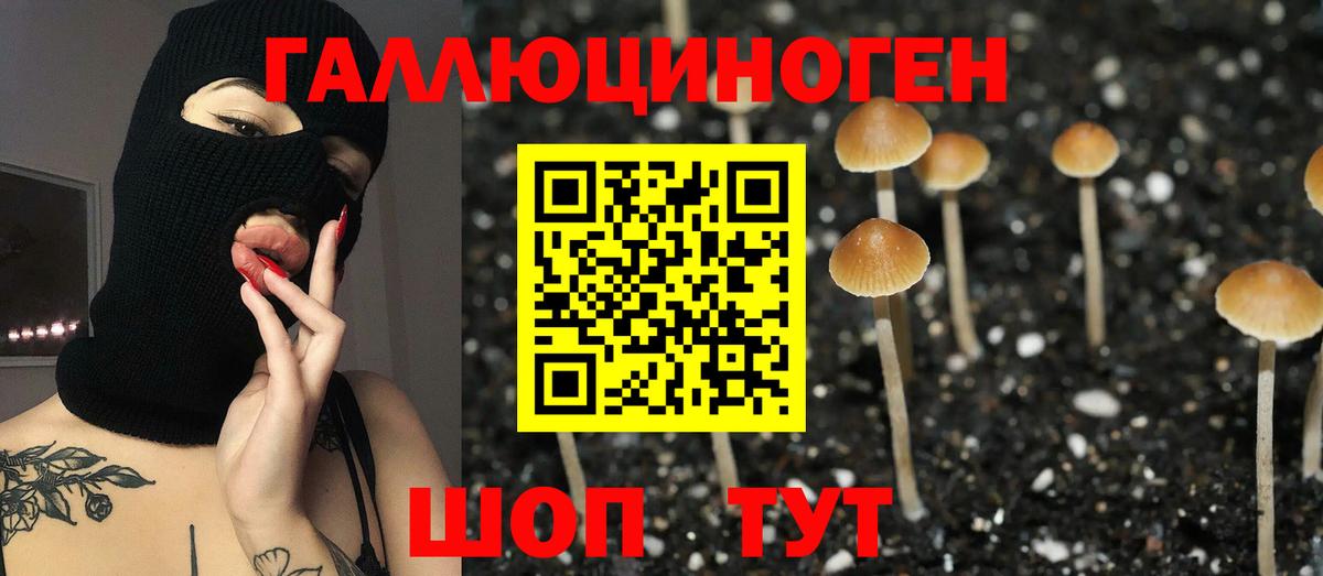 Серов  Псилоцибиновые грибы мухоморы  купить   Вход с VPN  Галлюциногенные грибы мухоморы 
