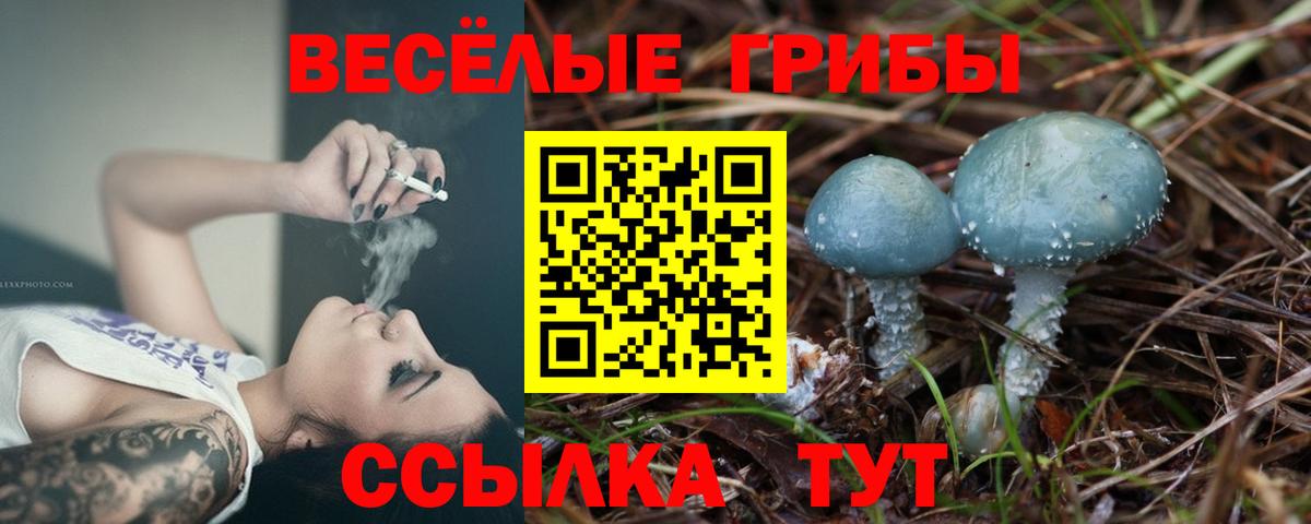 Галлюциногенные грибы прущие грибы Серов